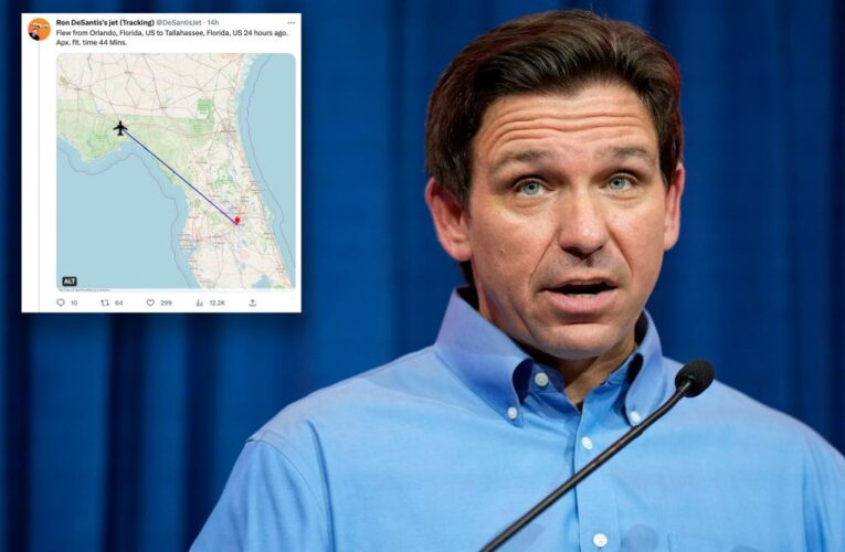 Ron DeSantis private jet tracked by student who monitored Elon Musk