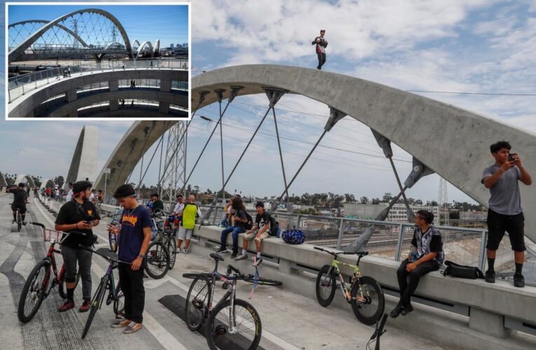Teen falls to his death after climbing LA bridge for stunt