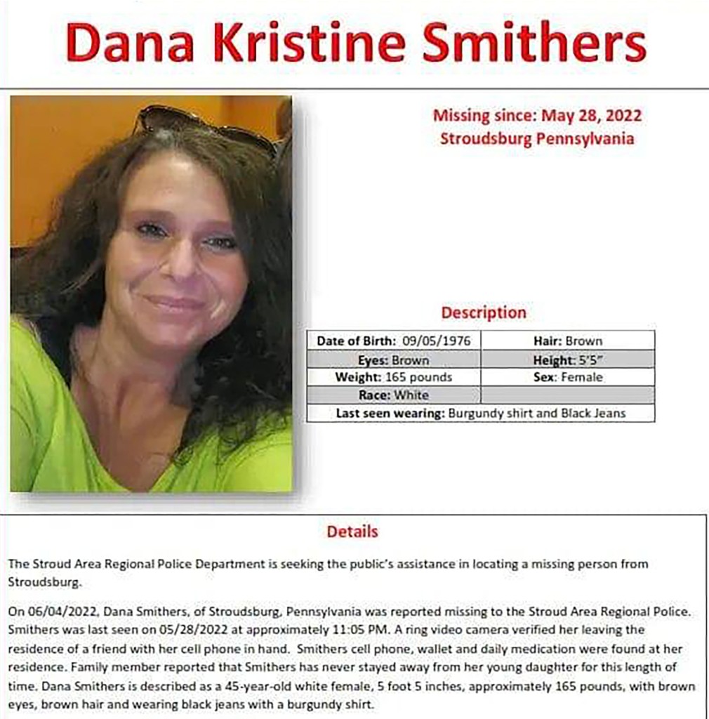 Dana Smithers missing poster.