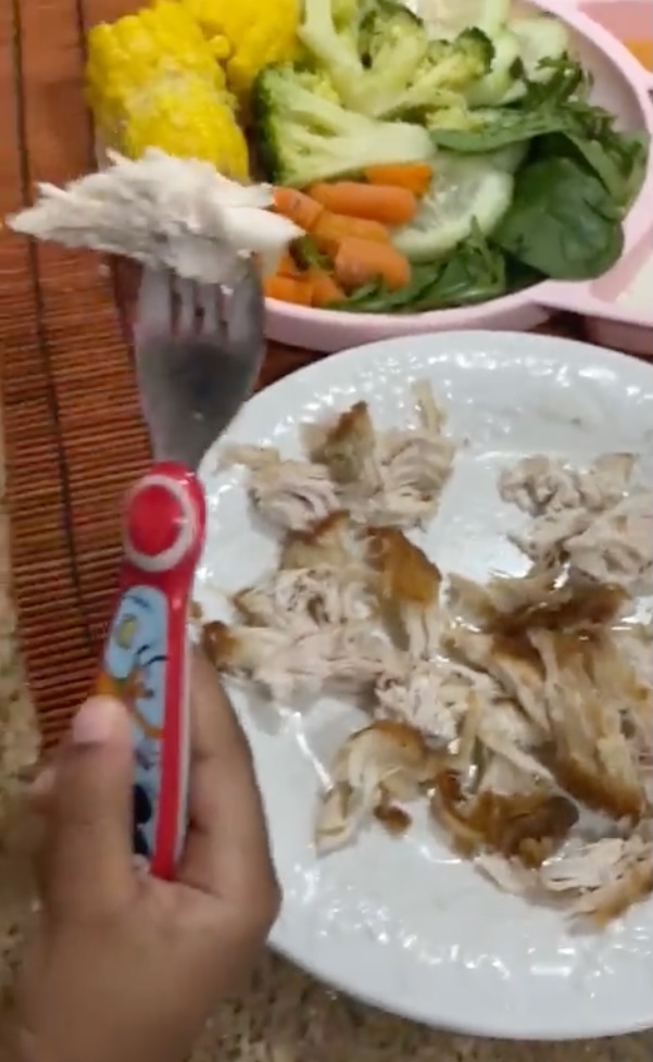 Her dinner included plain chicken and vegetables. 