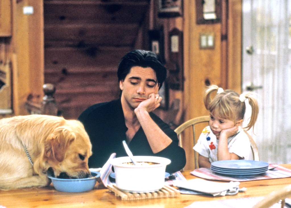 Stamos played their  fictional uncle, Jesse Katsopolis, on the show.