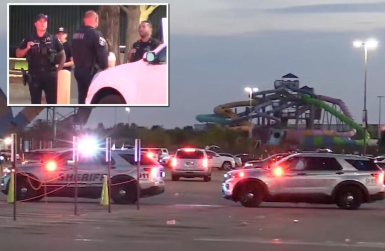 Six Flags brawl results in cops hurt, teens arrested