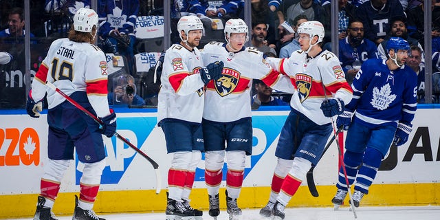 Panthers celebrate goal