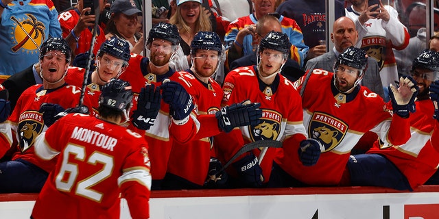 Panthers celebrate goal