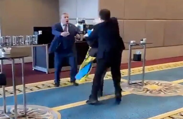 Ukraine delegate punches Russian at Black Sea nations assembly in Ankara