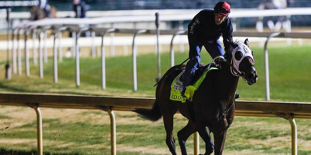 Wild On Ice trains with jockey Ken Tohill