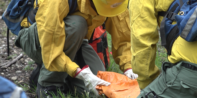 Wild land firefighters have to trust each other in the field.