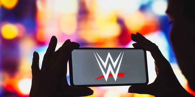 WWE photo illustration