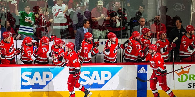 Hurricanes celebrate goal