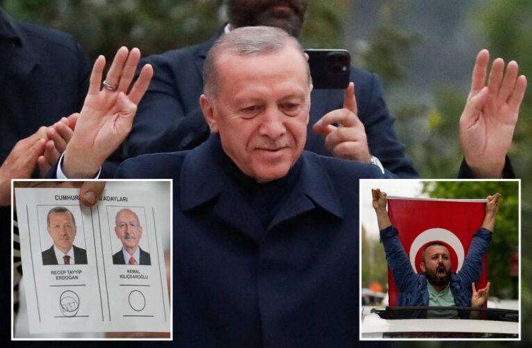 Incumbent President Erdogan declares victory in Turkey