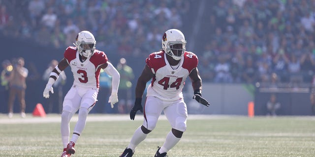 Markus Golden during game