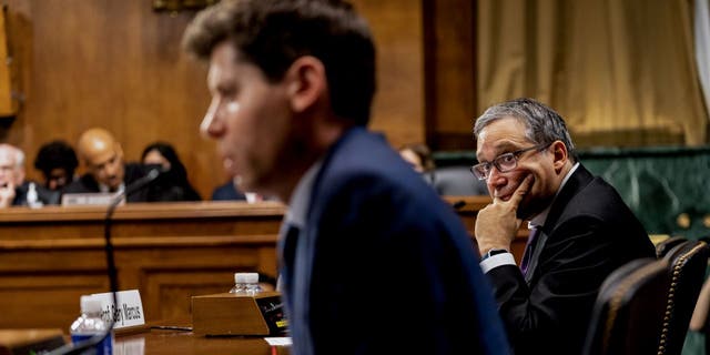 Gary Marcus listens to Sam Altman at hearing