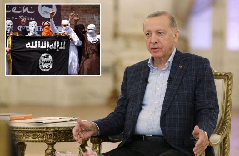 Erdogan says Turkish forces killed ISIS chief in Syria