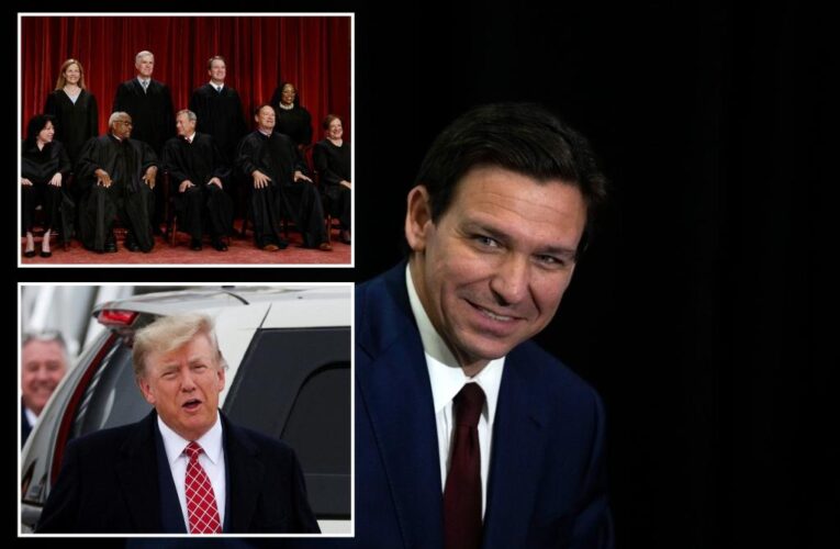 Ron DeSantis looks to appoint seventh conservative Supreme Court justice if elected president