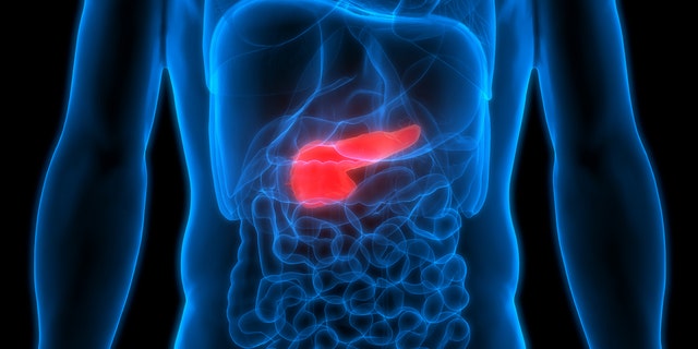 Pancreas