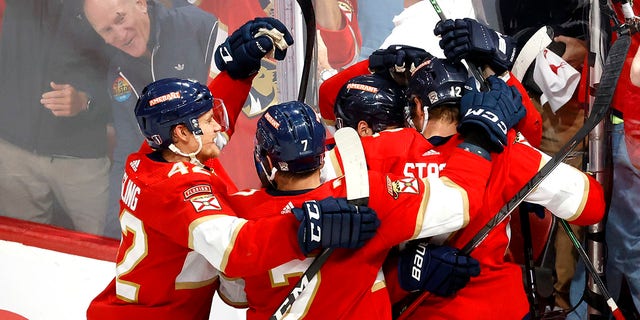 Panthers celebrate goal