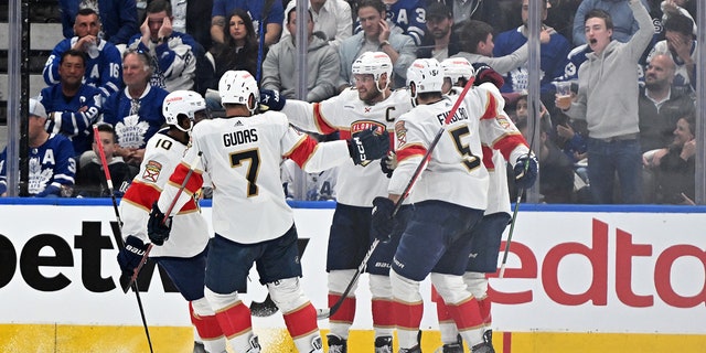 Panthers celebrate goal