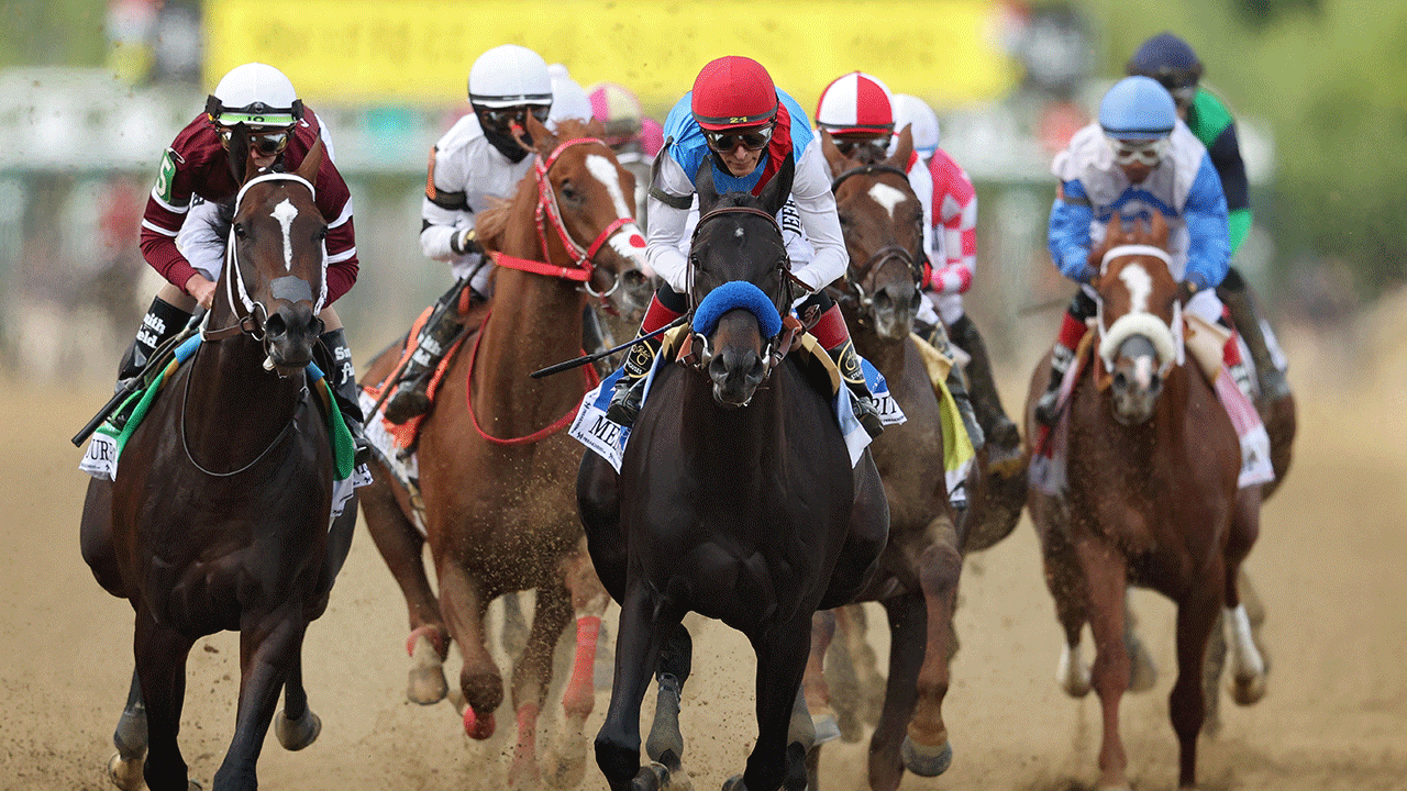 Preakness Stakes horses racing