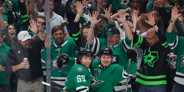 Dallas Stars celebrate with fans