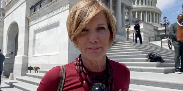 Rep Susie Lee