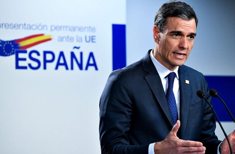 Pedro Sánchez postpones key speech at the European Parliament due to snap election