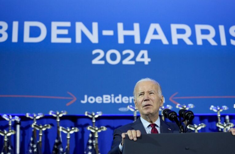 Biden bets on reproductive rights to galvanise voters