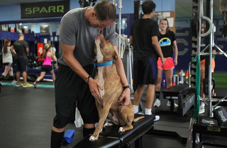 Reddit user asks if he’s wrong for bringing dog to gym