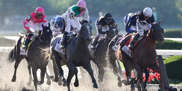 Horses racing in the Belmont Stakes