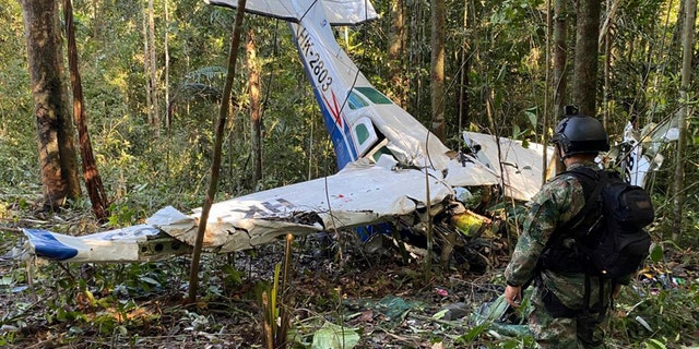 Soldier stands in front of crashed plane in jungle