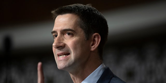 Sen. Tom Cotton in congress hearing