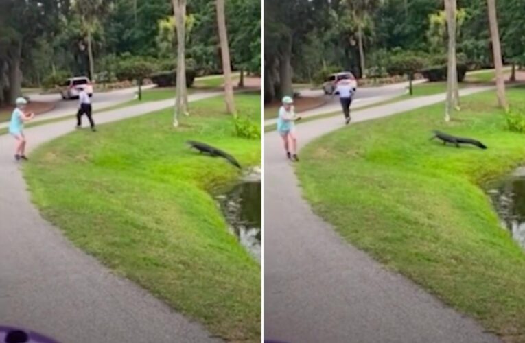Fisherman charged at by alligator from South Carolina pond