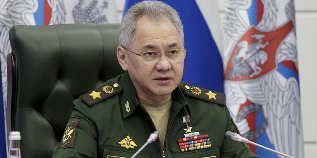 Defense Minister Sergei Shoigu