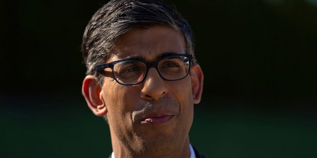 Rishi Sunak in glasses