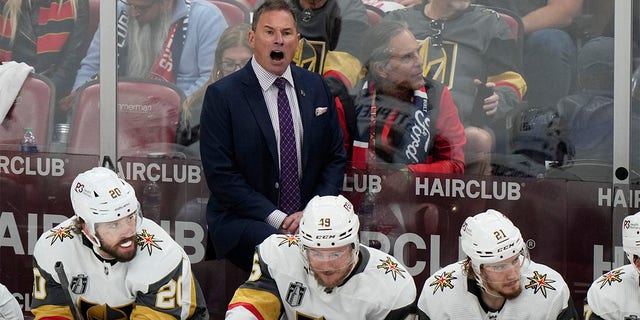 Bruce Cassidy yells onto the ice