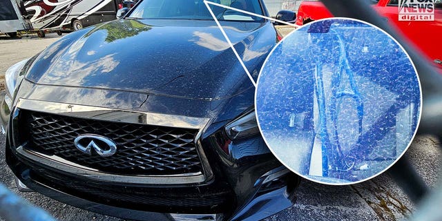 Murdered Doctor Forsyth's car in an impound lot