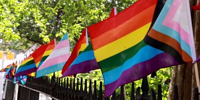 pride and transgender pride flags displayed along fence