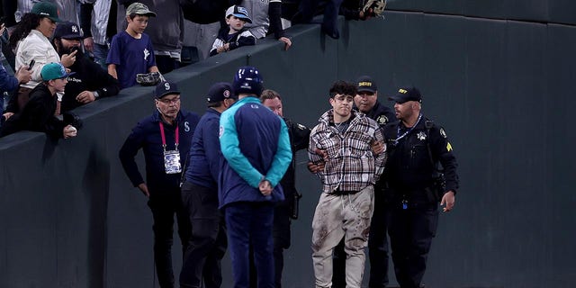 Fan gets arrested at T-Mobile Park