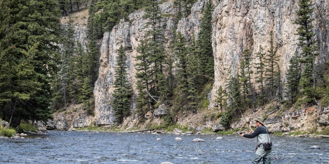 Fishing: Scenic view of angler in action using Montana Hook Up technique on the Gallatin River. Bozeman, MT 9/9/2017 CREDIT: David E. Klutho (Photo by David E. Klutho /Sports Illustrated/Getty Images) (Set Number: X161376 TK1 )