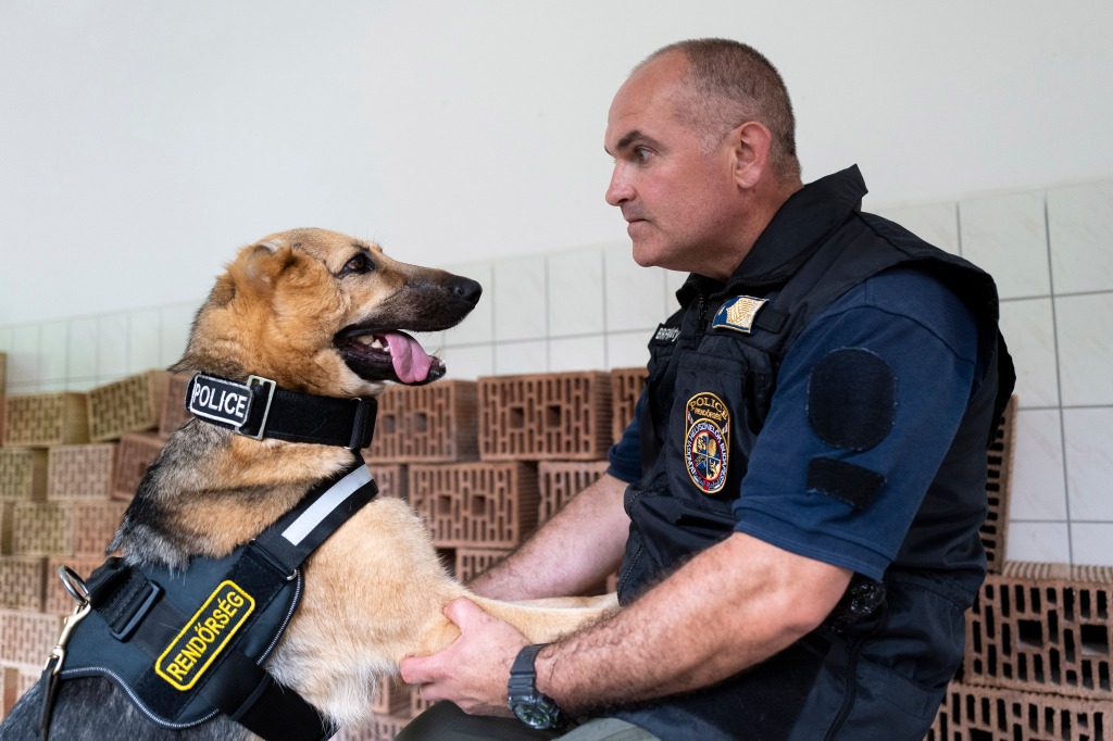 Rambo is now learning how to socialize with children, older adults and disabled people at police demonstrations and rehabilitation institutions.  