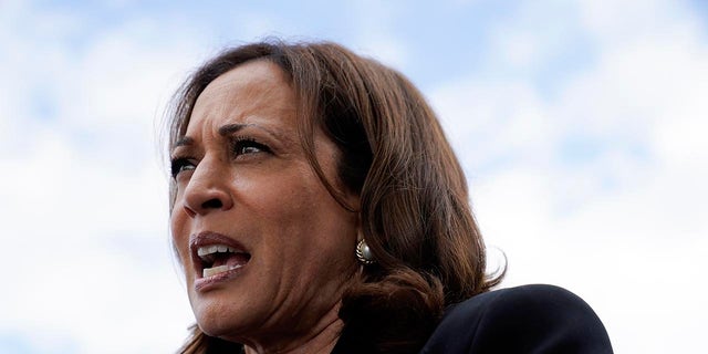 Vice President Kamala Harris