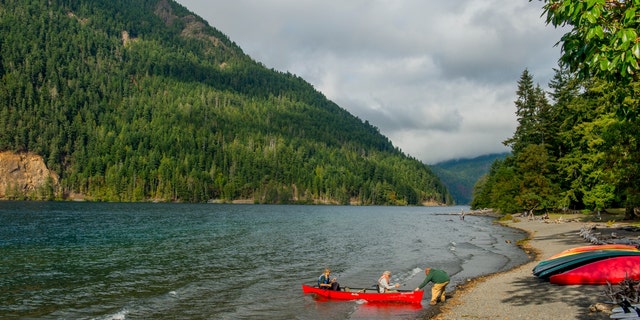 Canoeing in Olympic peninsula