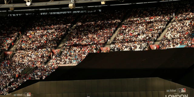 Fans watch the Yankees and Red Sox