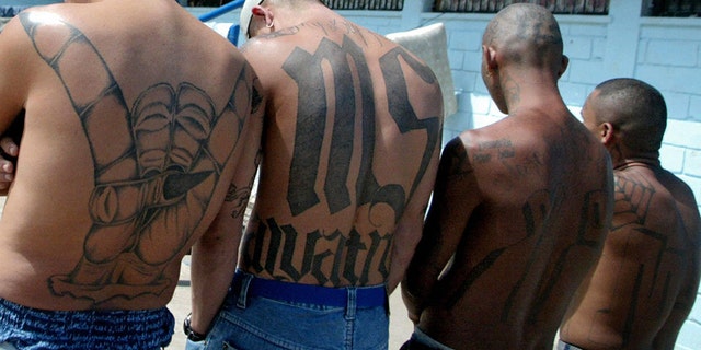 MS-13 gang members