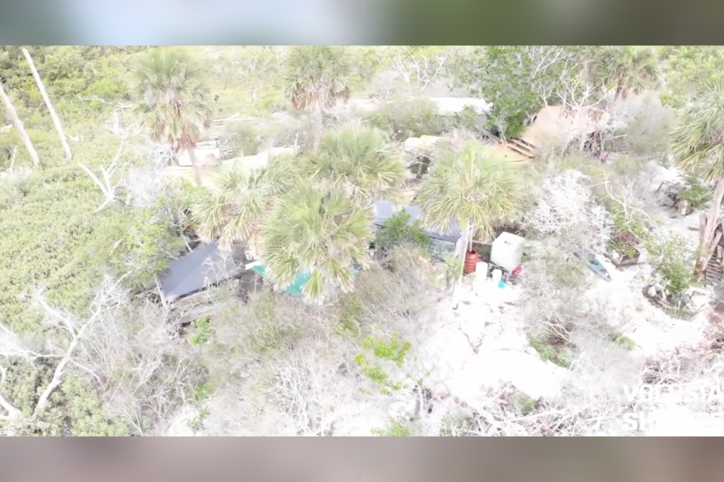 Multiple makeshift structures were built on the island, with most being concealed behind trees.