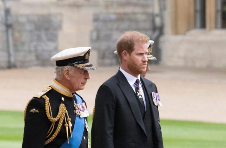 Prince Harry ‘warned’ King Charles about Lilibet’s birthday gift: report