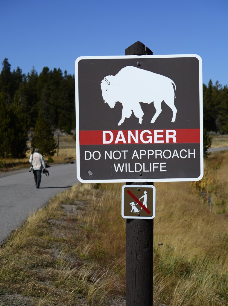A sign in Yellowstone National Park warns visitors to not approach bison and other wildlife.