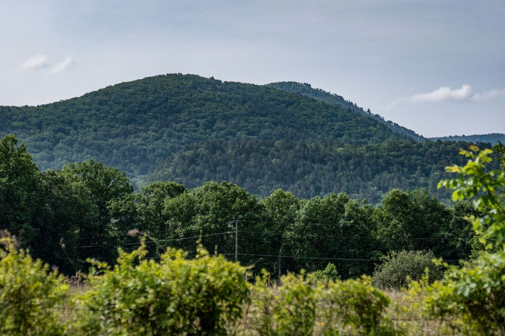 The investigation and search for the plane's pieces has been difficult given the wooded, mountain area. 