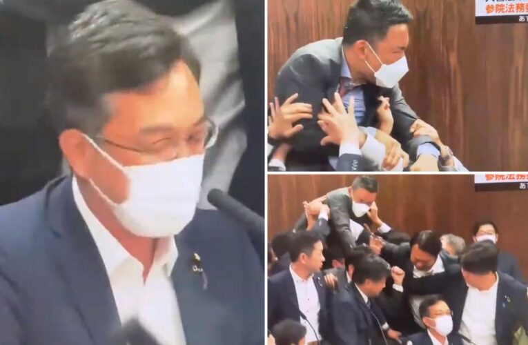 Chaos erupts inside Japan’s parliament as lawmakers brawl over refugee bill