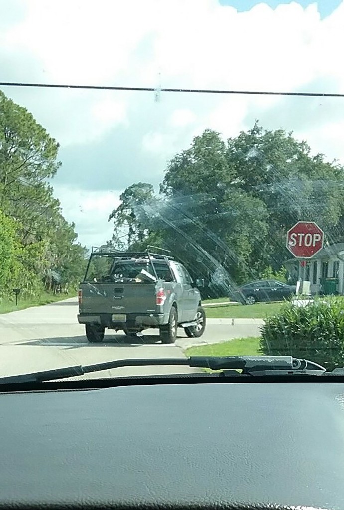 An image of the truck released by authorities 