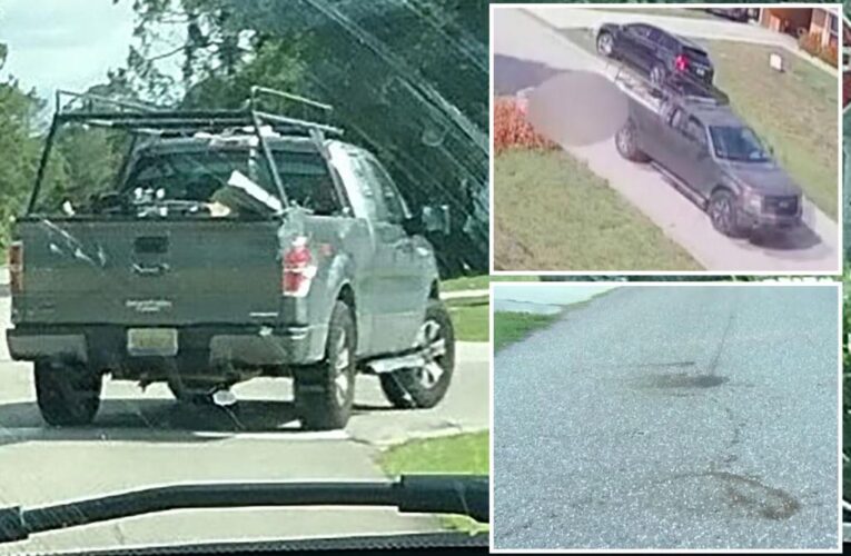 Fla. driver filmed dragging dog behind truck, leaving blood stains